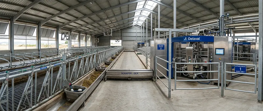 Ganadería y agricultura tecnificada